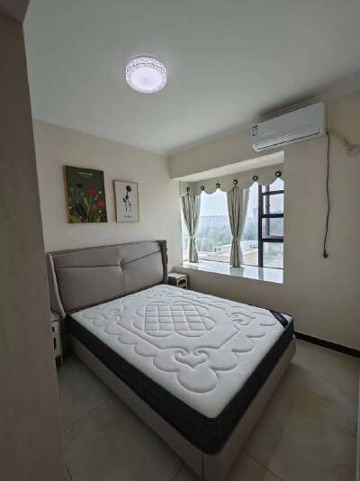 新加坡国际健康城，2室2厅1卫，62.00㎡，精装，售价38万