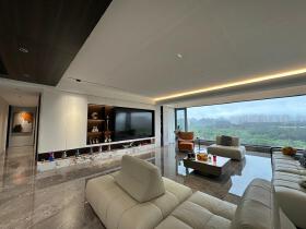 共青市中心最后三套大平层!带超长大阳台....