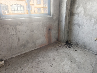 陈家花园，2室2厅1卫，80.00㎡，毛坯，售价20万