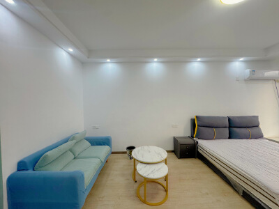 天湖郦都，1室1厅1卫，56.40㎡，精装，售价18.8万